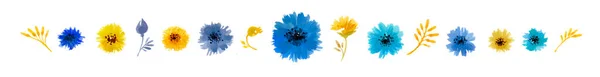 수채화 꽃차례 노란색 파란색 주형에 인사하는 — 스톡 사진