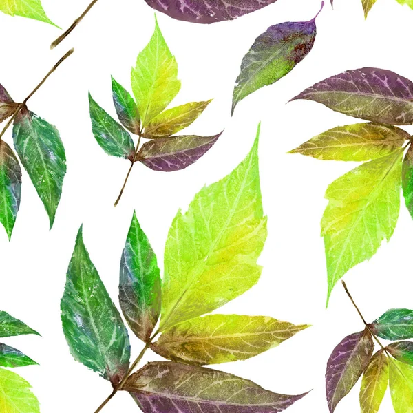 Botanical Leaves Pattern Green Leaf Pattern Textile Design — Stock Photo, Image