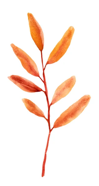 Πορτοκαλί Φθινοπωρινό Υδατογραφία Ζωγραφισμένα Στο Χέρι Εικόνα Μεμονωμένο Λευκό Φόντο — Φωτογραφία Αρχείου