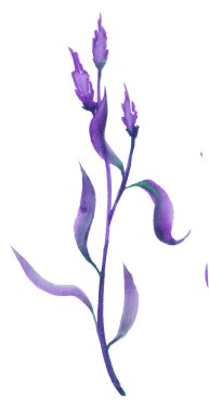 Mor tropik orman yaprakları. Yağmur ormanı konsepti ekoloji ve varış yeri gelişimi, bedava seyahat yaşam tarzı. 2022 'nin rengi çok güzel..