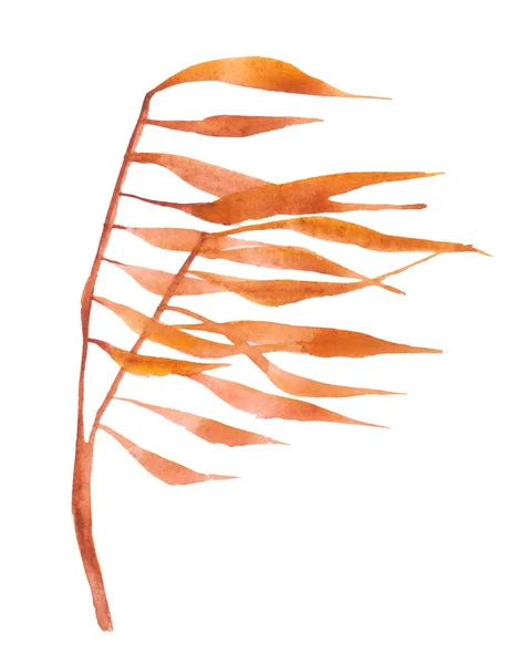 Акварель Золотые Пальмовые Листья Тропические Растения Ручной Рисунок Акварелью Белом — стоковое фото