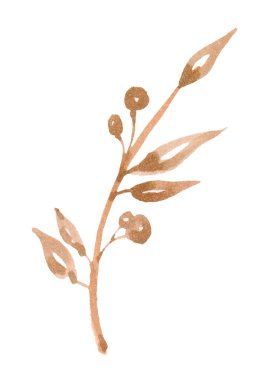 Hanımeli dalının böğürtlenli suluboya resmi.