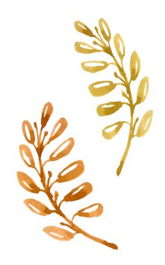 suluboya portakal dalları ve yapraklar, elle çizilmiş tasarım elementleri