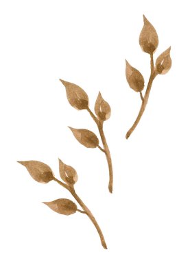 bir dizi suluboya altın dallar ve yapraklar, elle çizilmiş tasarım elementleri