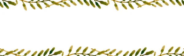 Çizimi Suluboya Çizimi Yeşil Yapraklar Beyaza Çerçeve — Stok fotoğraf