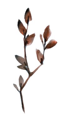 Beyaz arkaplanda izole edilmiş kuru yaprakların suluboya dalı