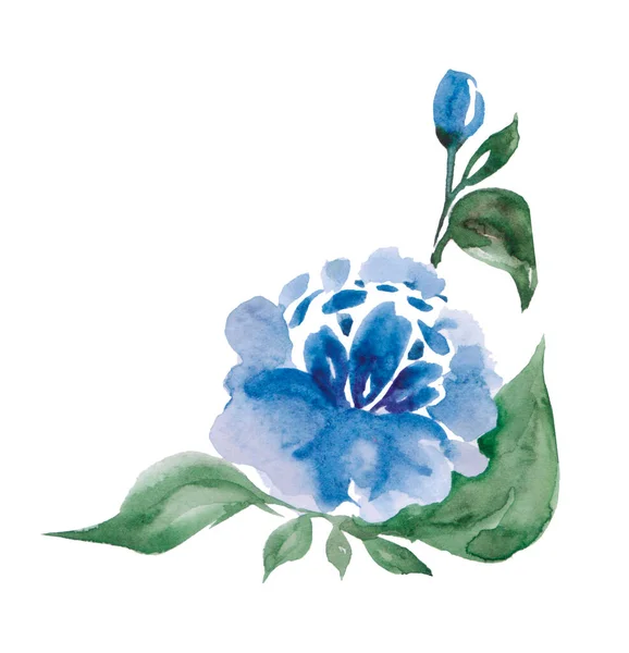 Blå Akvarell Blomma Vit Bakgrund — Stockfoto