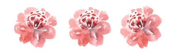 Waterkleur Roze Bloemen Collectie Bloementuin — Stockfoto