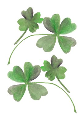 Şanslı yonca dört yapraklı. Patricks Günü suluboya zirvesi