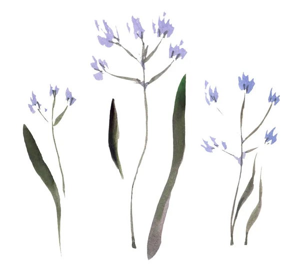 Set Med Akvarell Små Blå Blommor Gypsophila Baby Breath Isolerad — Stockfoto