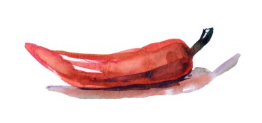 suluboya el beyaz arkaplana kırmızı biber çizdi