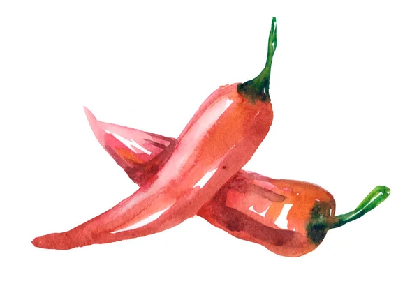 Dos Chiles Rojos Acuarela Aislados Blanco —  Fotos de Stock