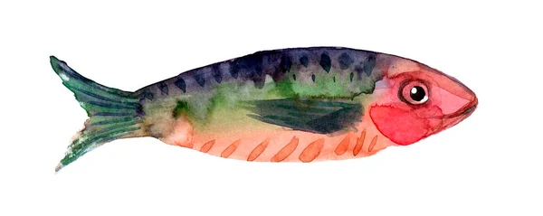 Hand Drawn Watercolor Illustration Fish — Stock Photo, Image