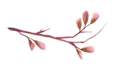 Suluboya Sonbahar çerçeve elementi beyaz üzerinde izole edilmiş güzel gerçek yapraklar