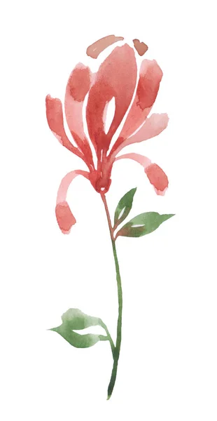 Vacker Röd Blomma Akvarell Illustration Vit Bakgrund — Stockfoto