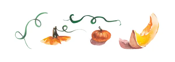 Pumpkins White Background Watercolor Illustration — Foto de Stock