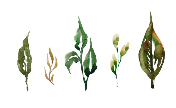 Watercolor Fresh Green Leaves Set White Background Hand Painting Paper — Foto Stock