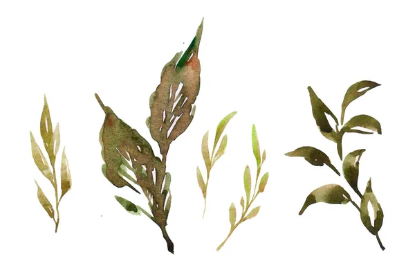 Set Acrylic Green Leaves Stamp Different Foliage Strokes Hand Drawn — Fotografia de Stock
