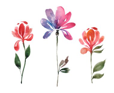 Beyaz arkaplanda suluboya renkli çiçekler.