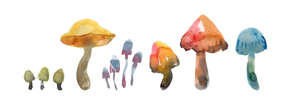 Large Watercolor Set Mushrooms Isolated White Background — Photo