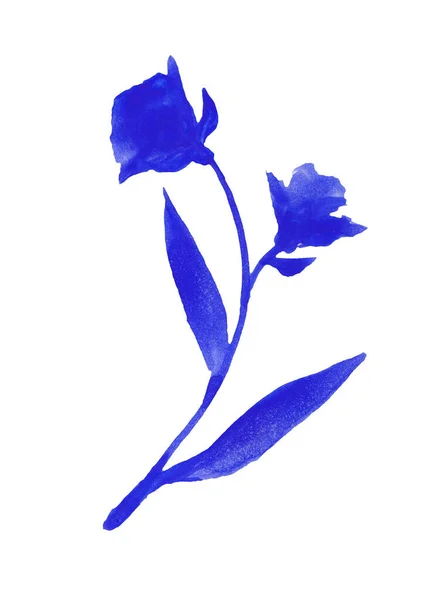 Acuarela Ilustración Flores Azules Aisladas Sobre Fondo Blanco —  Fotos de Stock