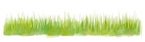 Frisches Gras Aquarell Von Hand Gezeichnet Und Bemalt — Stockfoto
