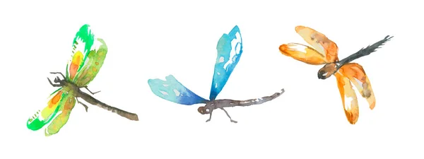 Set Multicolored Watercolor Dragonfly Isolated White Background — Φωτογραφία Αρχείου
