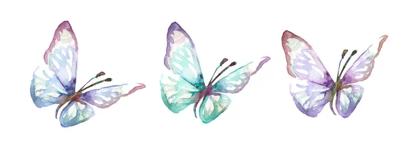 Watercolor Blue Tropical Butterflies Isolated White Background Moths Design — Stock fotografie