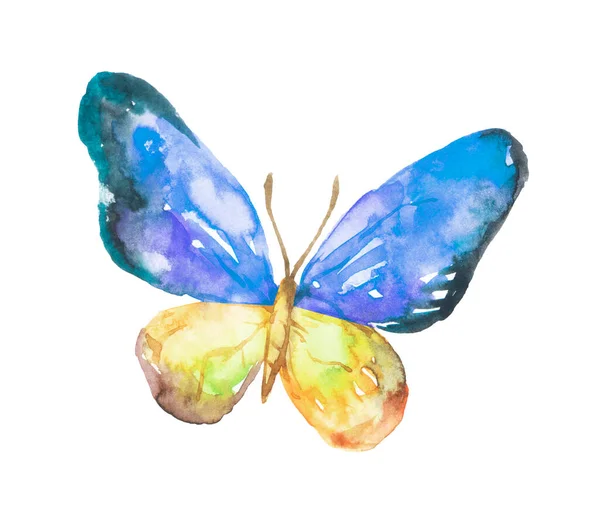 Watercolor Blue Yellow Butterfly Isolated White Background — Fotografia de Stock
