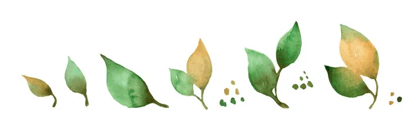 Set Aus Aquarell Grünen Zweigen Und Blättern Handgezeichnete Gestaltungselemente — Stockfoto