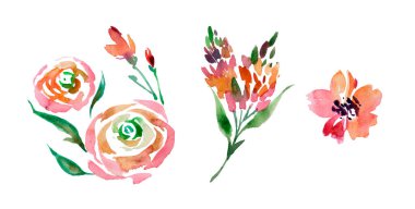 Elle çizilmiş pembe çiçekler. Şakayıklı suluboya kompozisyon.