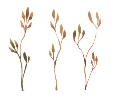 Sonbahar yapraklarının suluboya dalı beyaz arkaplanda izole