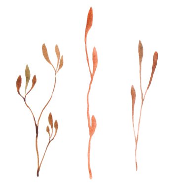 Kırmızı sonbahar yapraklı ince dal beyaz üzerine izole