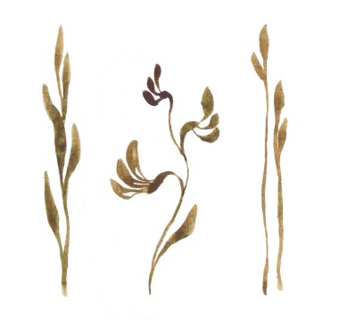 Suluboya Moda Düğün Yeşilliği Koleksiyonu Beyaz Arkaplanda İzole Edildi. Modern Botanik Clipart