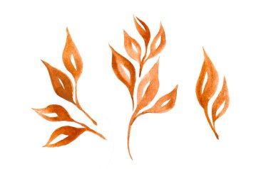 Watercolor collection yellow autumn leaves on white background