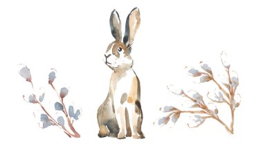 Beyaz arka planda oturan kırmızı suluboya tavşan, izole edilmiş.