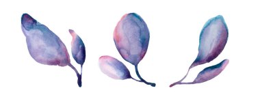 Beyaz üzerine izole edilmiş mavi yaprak seti. .