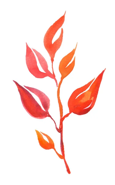 Őszi Levelű Ágak Akvarell Készlete — Stock Fotó