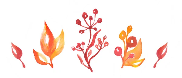 Φθινοπωρινά Φύλλα Και Κόκκινα Μούρα Φθινοπωρινά Μούρα Φθινοπωρινό Κλαδί Άγριων — Φωτογραφία Αρχείου
