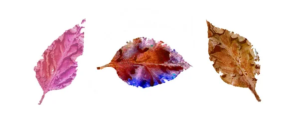 Multicolored Autumn Leaves Hello Autumn Concept — ストック写真