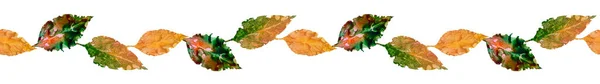 Creative Layout Colorful Autumn Leaves Flat Lay Season Concept Seamless —  Fotos de Stock