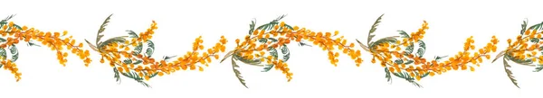 美丽的春天的构图 白色背景上有黄色的油花 白色背景下的云杉植物模式 — 图库照片