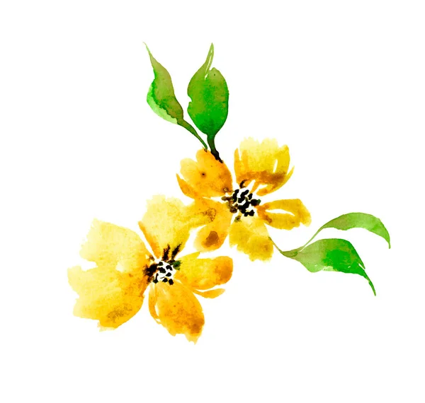 Kolorowe Akwarelażółty Kwiat Martwa Natura Stylu Retro Białym Tle Element — Zdjęcie stockowe