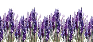 Beyaz arkaplanda lavanta çiçekleri deseni