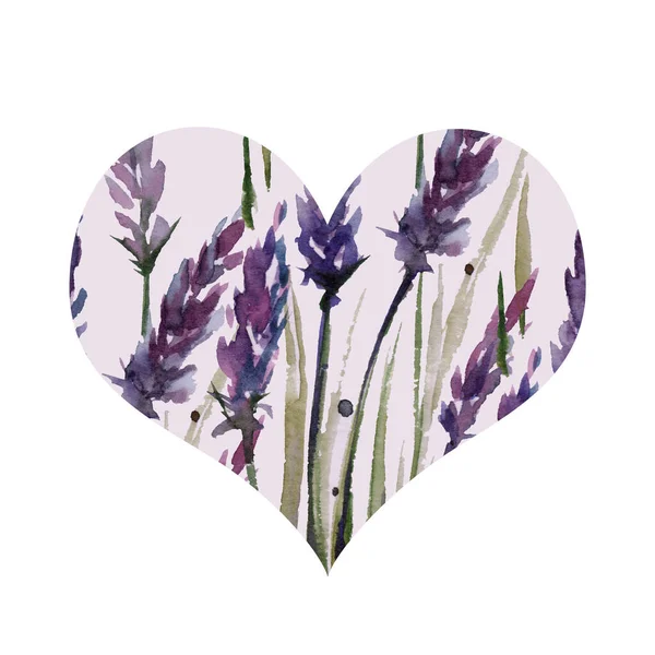 Romantic Watercolor Heart Lavender Flowers White — Stok fotoğraf
