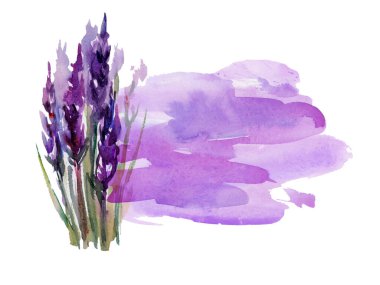 Logo fırçası boya soyut arkaplan resmi. Başlık ve satış afişi için lavantalı mükemmel tasarım ögesi.