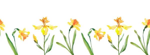 Seamless Background Flowers Yellow Daffodils Seamless Pattern — Photo