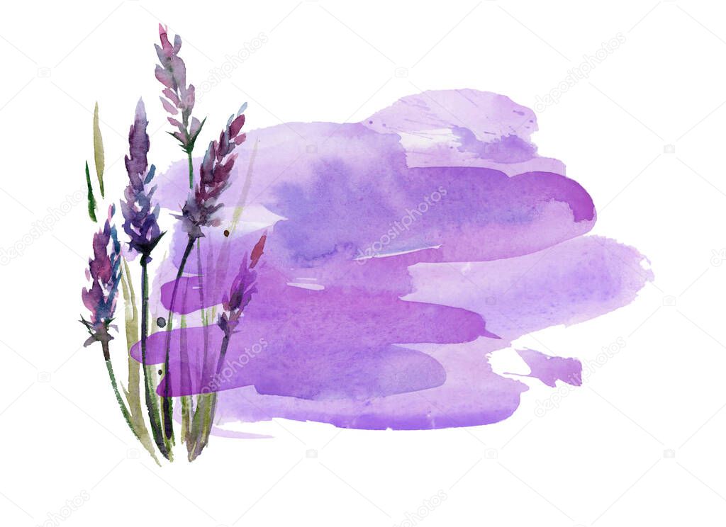 Abstract art background purple and lilac colors. Watercolor painting on canvas with soft violet gradient. Fragment of red artwork on paper with flowers lavender. Texture backdrop, macro.