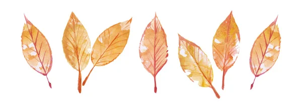 秋の水彩葉 水彩シームレスパターン — ストック写真