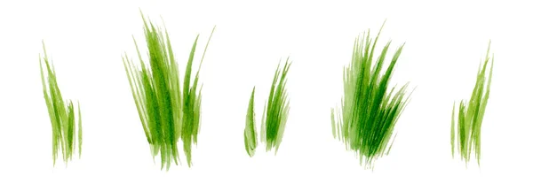 Conjunto Hierba Verde Acuarela Exuberante Para Decoración Primavera Verano Mechones —  Fotos de Stock